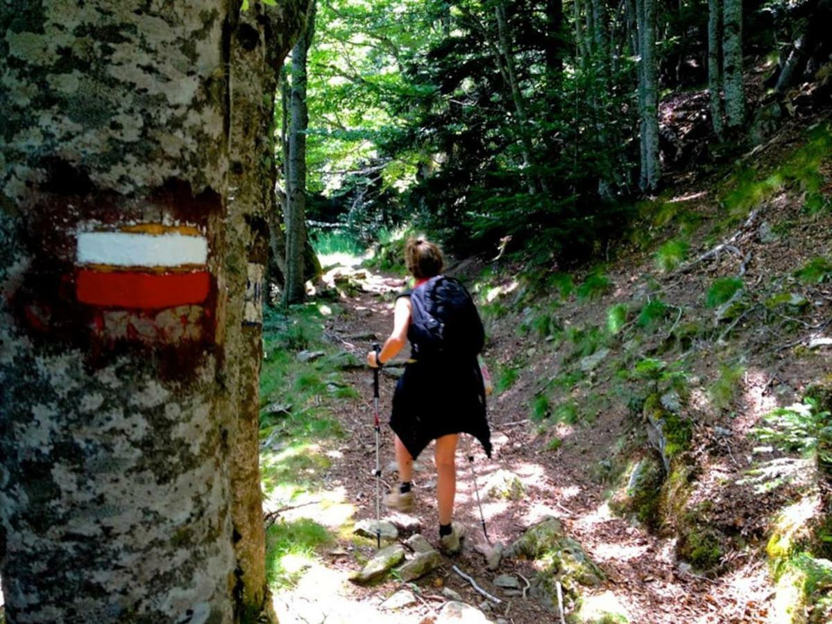 Naturaleza Y Aire Puro En El Pirineo Oriental En Una Bonita Casa Rural De Piedra Пратс-де-Моло-ла-Прест Екстер'єр фото