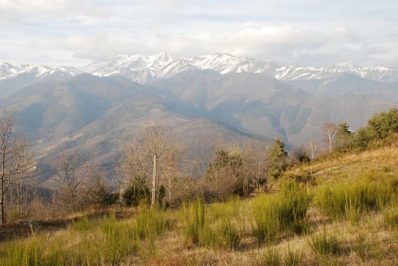 Naturaleza Y Aire Puro En El Pirineo Oriental En Una Bonita Casa Rural De Piedra Пратс-де-Моло-ла-Прест Екстер'єр фото